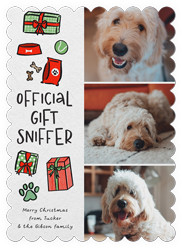 Gift Sniffer Greetings