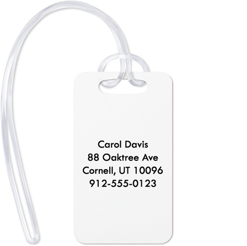Gallery of Three 2x3 Multicolor  Luggage Tag