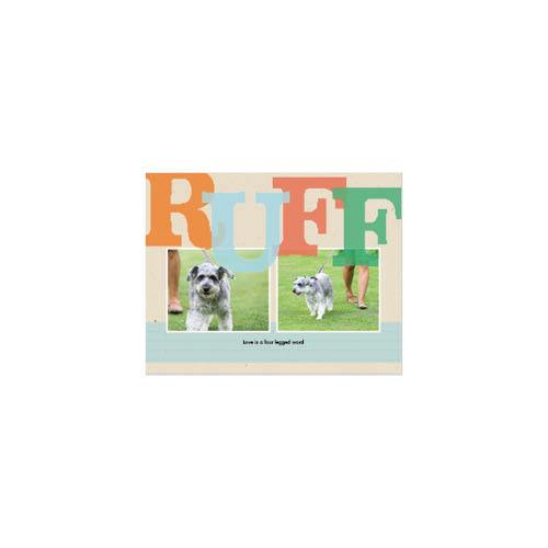 Four Legged Friends 8x11 undefined  Wall Calendar