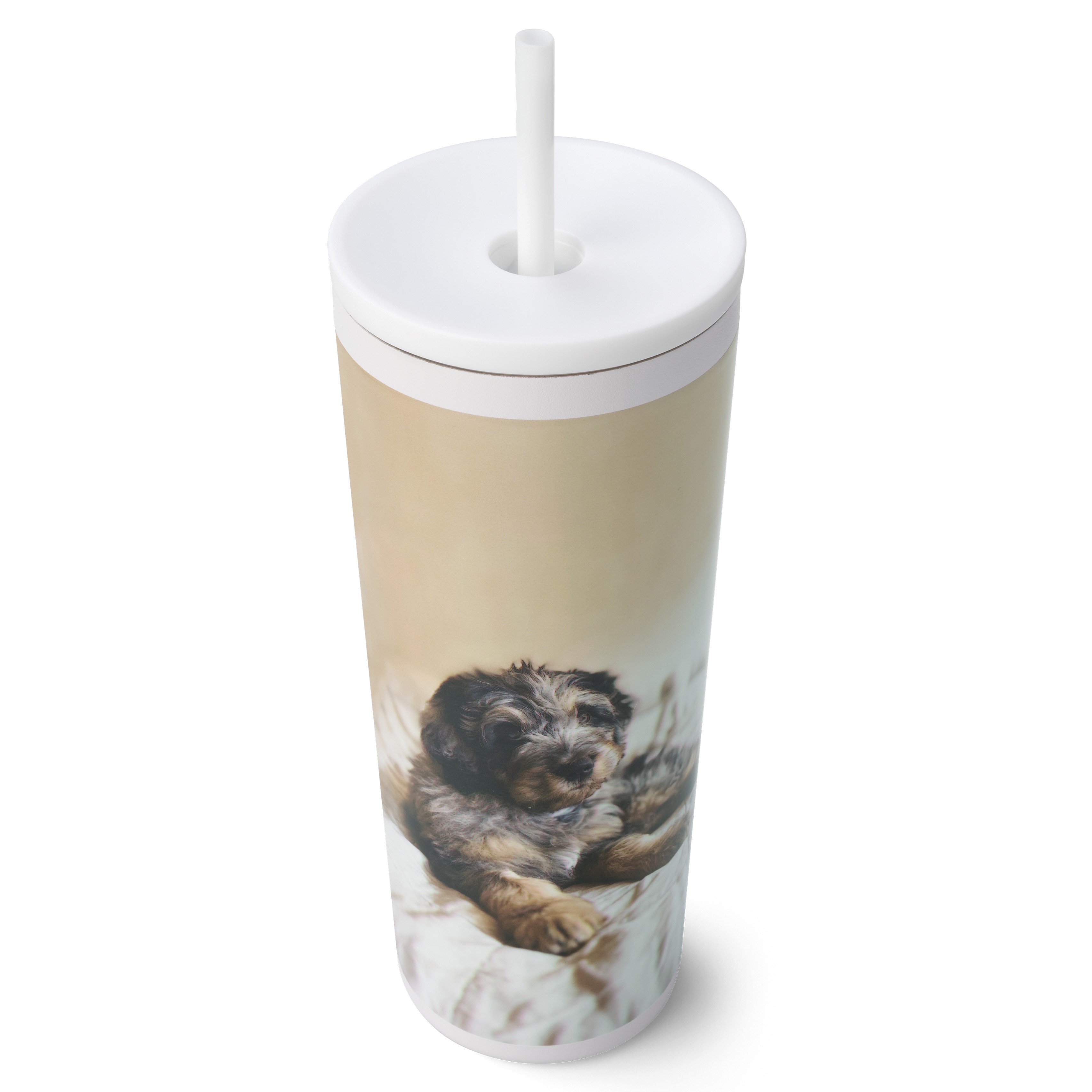 Text Gallery of One 24oz Tumbler with Straw Text Gallery of One 24oz White 24oz Tumbler with Straw