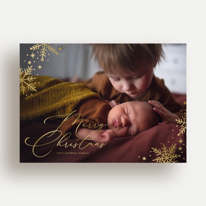 Delicate Flakes Holiday Card