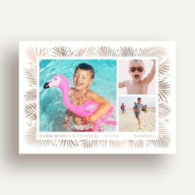 Tropical Tidings