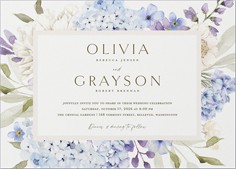 Hydrangea Highlight