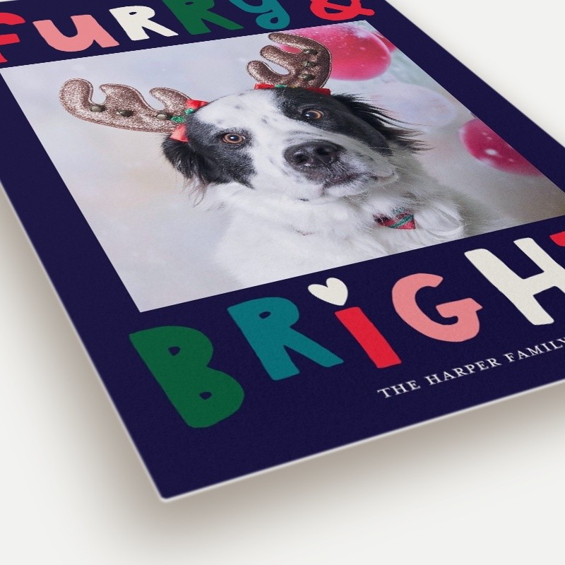 Furry Bright Holiday Card