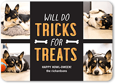 Tricks for Treats