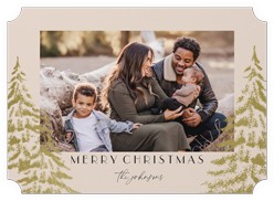 Peaceful Pine Prints