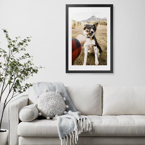 Pet Photo Gallery 20x30 Multicolor  Framed Print