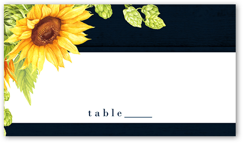 Blue Cardstock