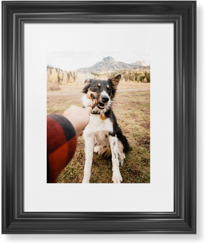 Pet Photo Gallery