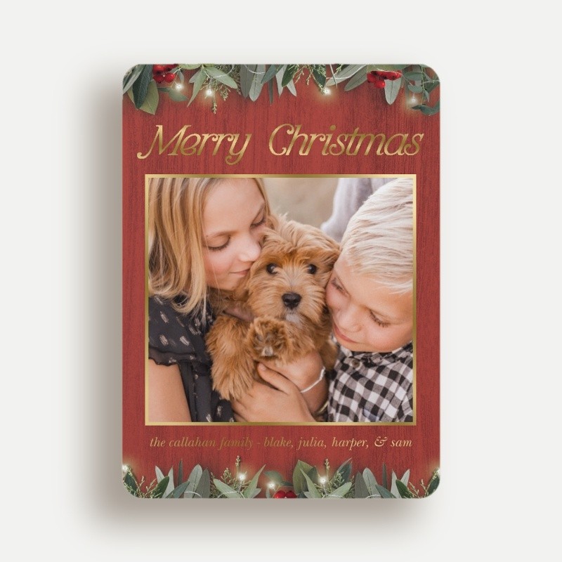 Botanical Trio Holiday Card