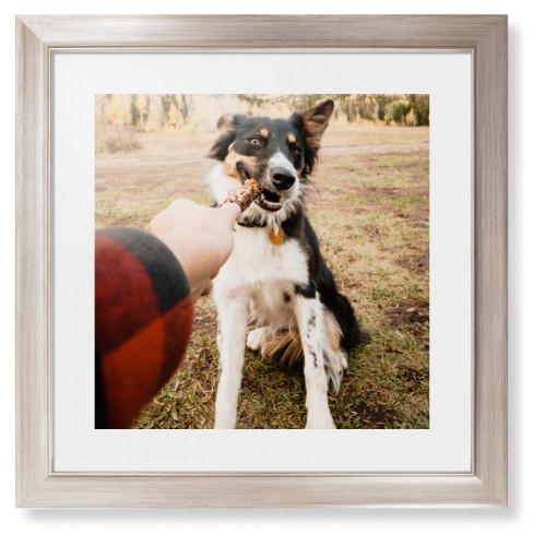 Framed Prints: Pet Photo Gallery Metallic Modern Frame White Top & Bottom Mat 16x16 1 Photo Shutterfly