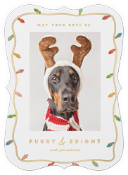 Festive Lighthearted