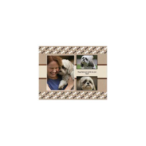 Four Legged Friends 8x11 undefined  Wall Calendar