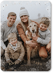 Snowfall Surroundings