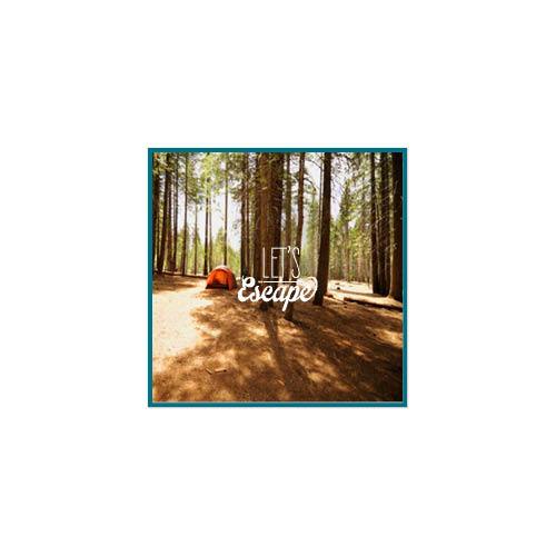 Endless Summer 8x8 undefined  Premium Album