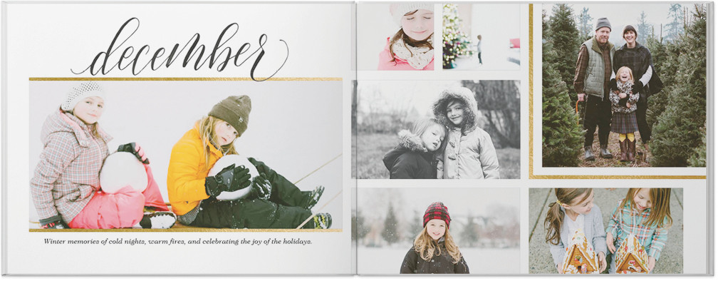 Elegantly Scripted Year In Review 11x14 undefined  Photo Book