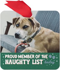 Naughty List
