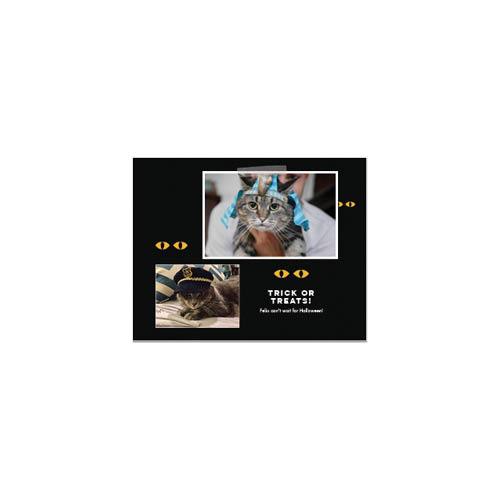 Four Legged Friends 8x11 undefined  Wall Calendar