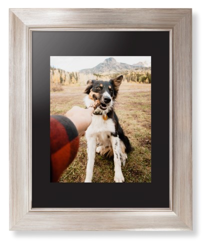 Pet Photo Gallery