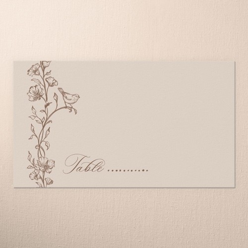 Gentle Ornamented Framework