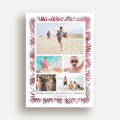 Tropical Tidings