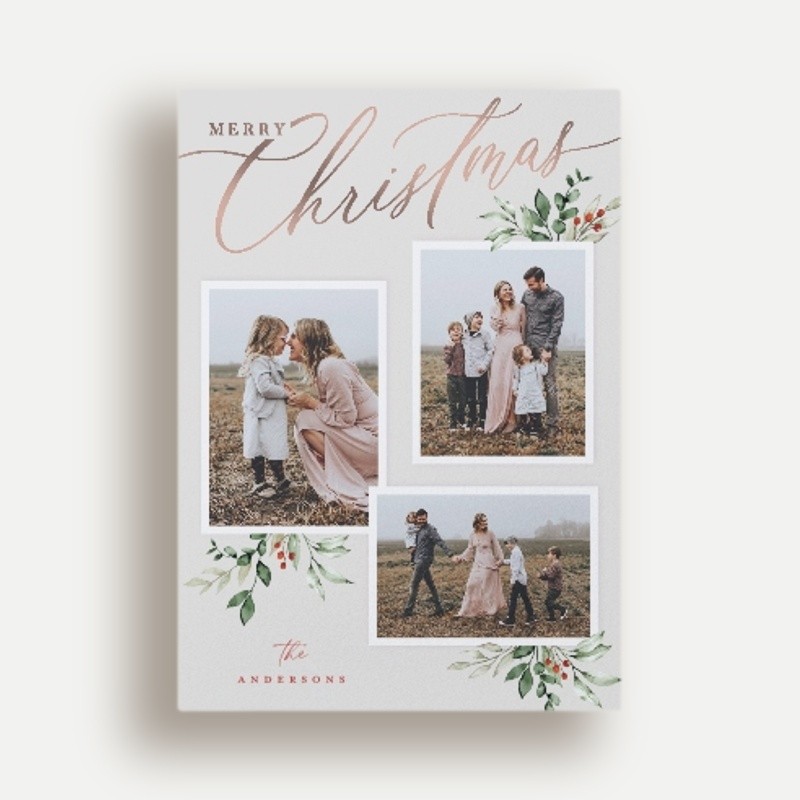 Script and Snapshots