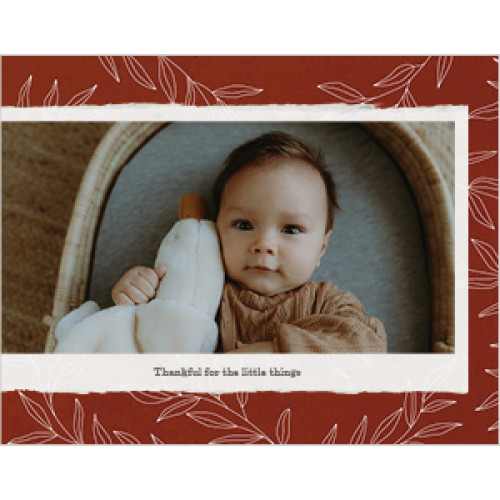 Seasonal Patterns Calendar 8x11 undefined  Wall Calendar