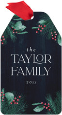 Winter Berries Family Name