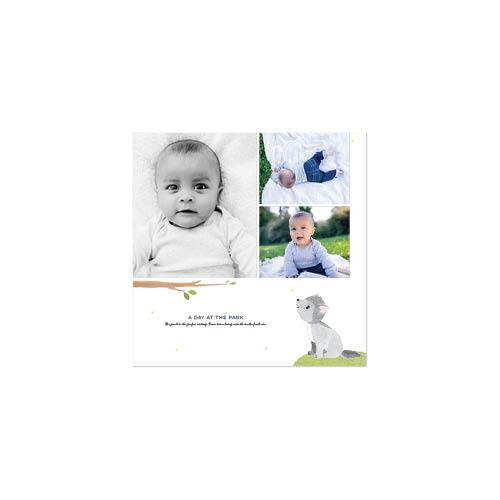Woodland Baby 10x10 undefined  Premium Album