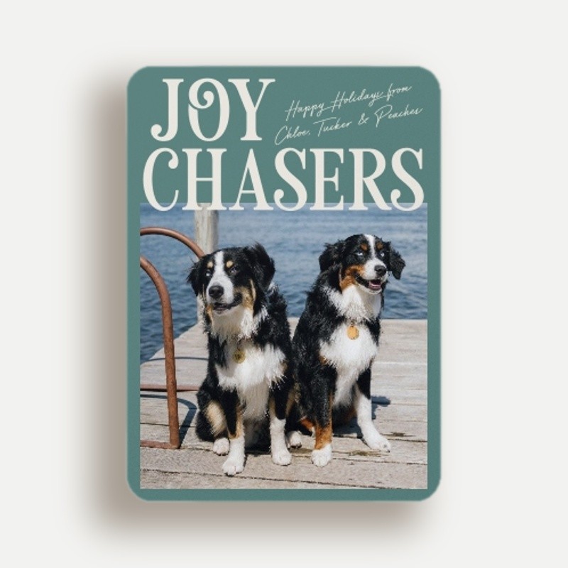 Joy Chasers