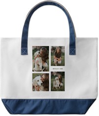 Caption Gallery Of Four