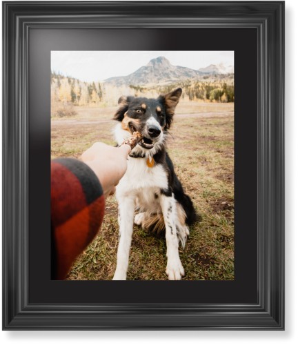 Pet Photo Gallery