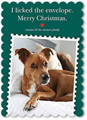Festive Pet Stamp
