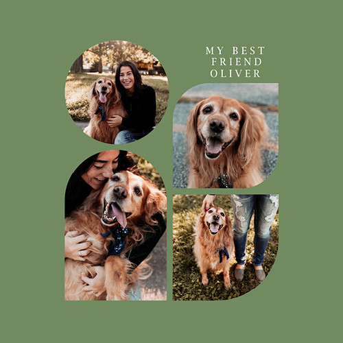 Organic Modern Calendar 12x12 undefined  Wall Calendar