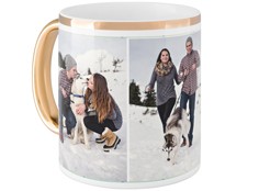 Pets Gallery of Three