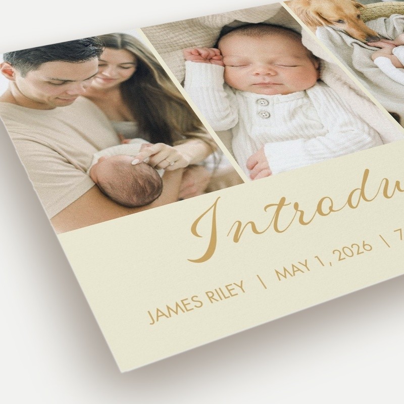 Softly Introducing Birth Announcement