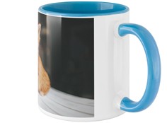 productImage-2