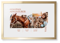 Favorite Infographic​