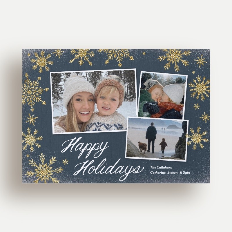 Snowflake Snapshots