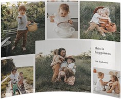 Neutral Gallery Of Six