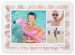 Tropical Tidings