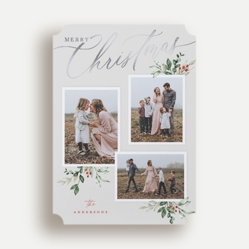 Script and Snapshots