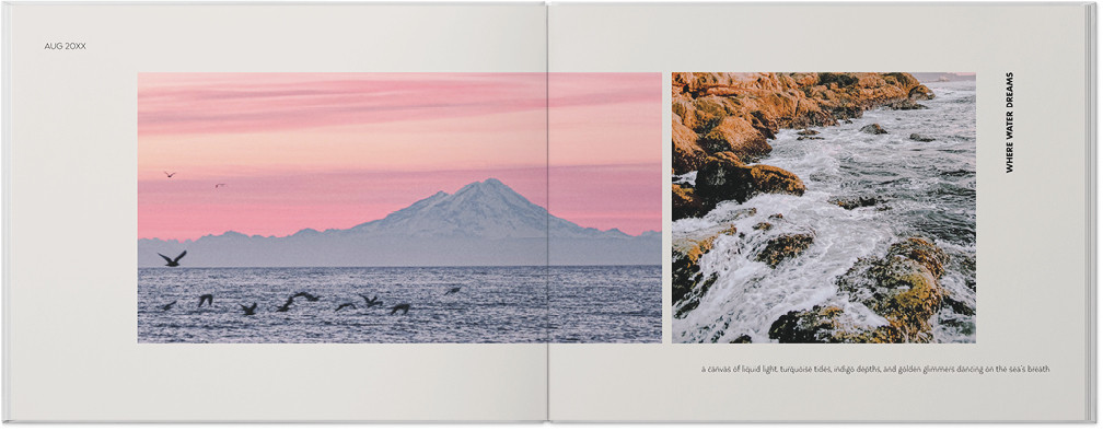 Professional Portfolio 8x11 undefined  Photo Book