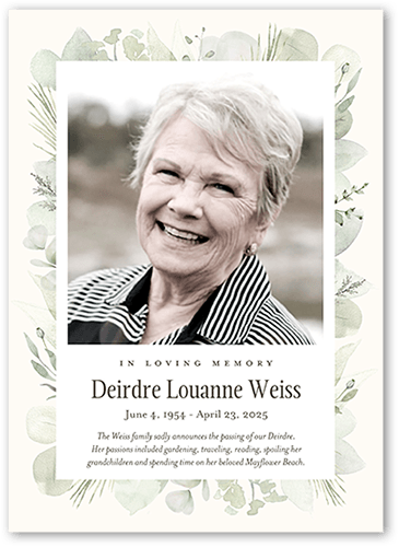 Evergreen Embellishment