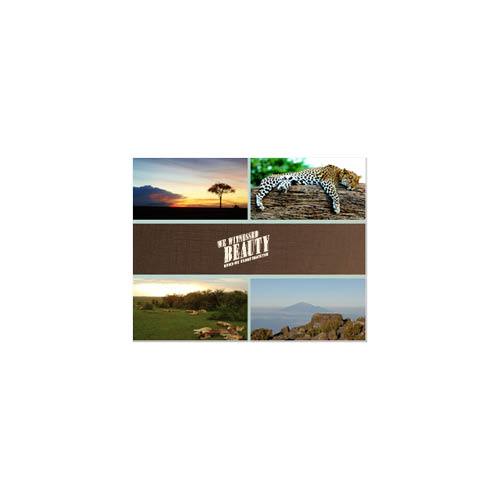 Passport to Africa 11x14 undefined  Premium Album