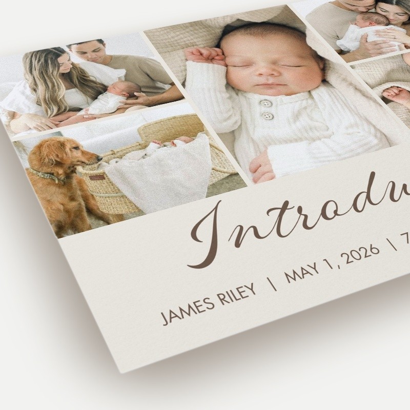 Softly Introducing Birth Announcement