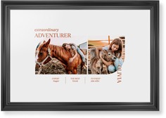 Favorite Infographic​