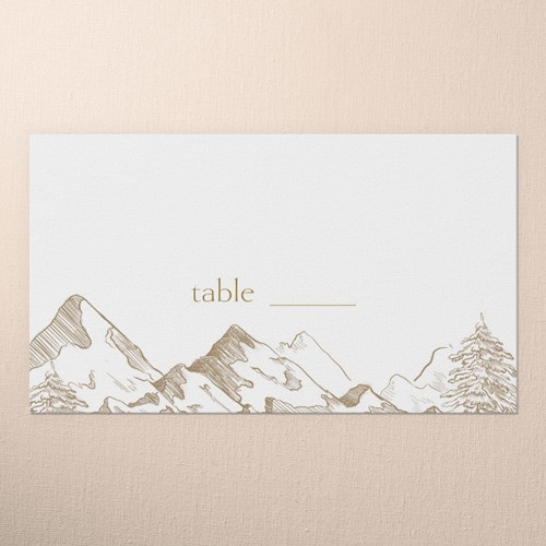 Brown Wedding Table Name Cards