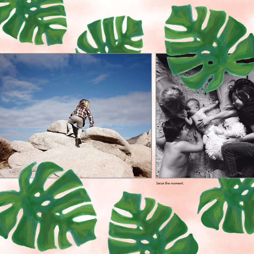 Watercolor Botanicals 12x12 undefined  Wall Calendar