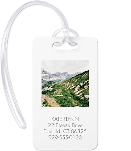 Explore Gallery Of Four 2x4 Multicolor  Luggage Tag